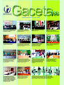 Gaceta N° 166