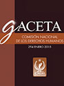 Gaceta N° 294