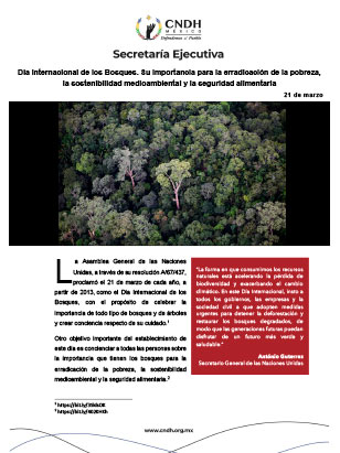 Día Internacional de los Bosques. Su importancia para la erradicación de la pobreza, la sostenibilidad medioambiental y la seguridad alimentaria