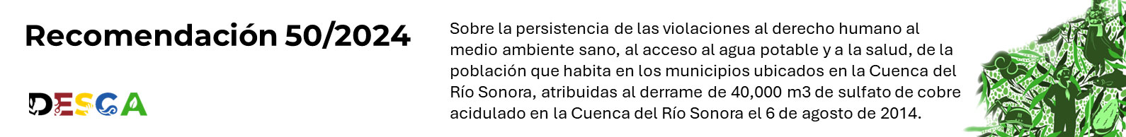 Recomendación 50/2024