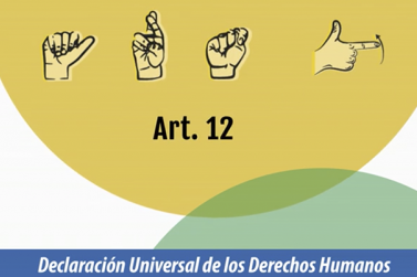 Declaración Universal de Derechos Humanos-30 Derechos-Artículo 12