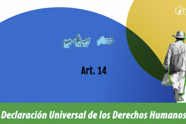 Declaración Universal de Derechos Humanos-30 Derechos-Artículo 14