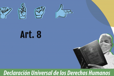 Declaración Universal de Derechos Humanos-30 Derechos-Artículo 8