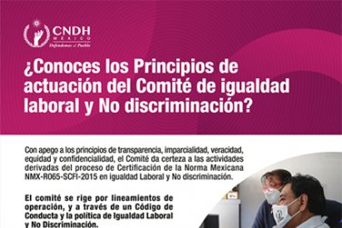 NMX Comité Igualdad Principios 