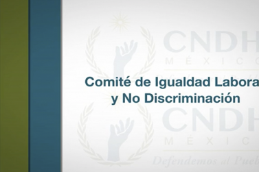 Norma 025-Comité en igualdad Laboral y No Discriminación