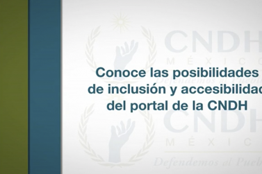 Norma 025-Inclusión y accesibilidad del portal CNDH