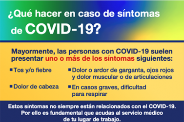 Pandemia COVID 19 Que hacer