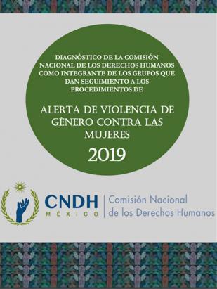 Diagnóstico de la Comisión Nacional de los Derechos Humanos como integrante de los grupos que dan seguimiento a los procedimientos de alerta de violencia de género contra las mujeres, 2019