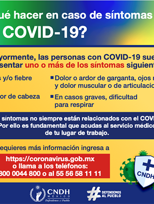Pandemia COVID 19 Que hacer