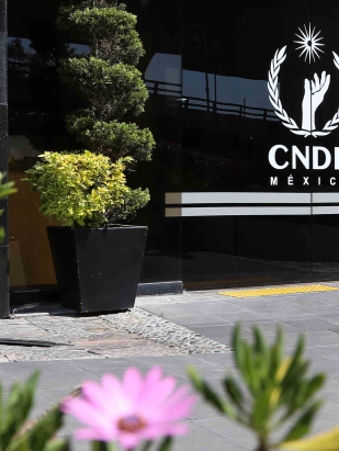 CNDH llama al INE a no vulnerar el derecho a la libertad de expresión