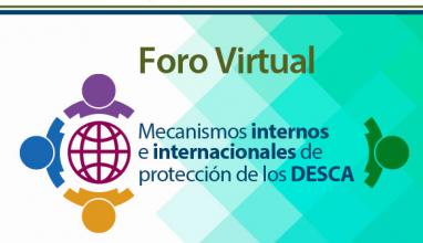 Foro Virtual Mecanismos Internos e internacionales de protección de los DESCA