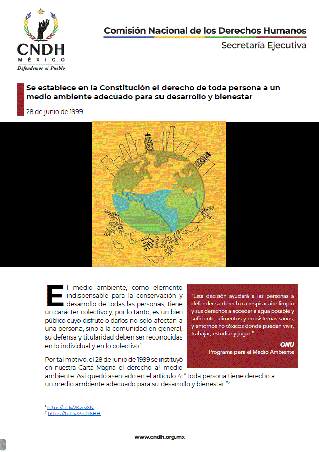 Se establece en la Constitución el derecho de toda persona a un medio ambiente adecuado para su desarrollo y bienestar