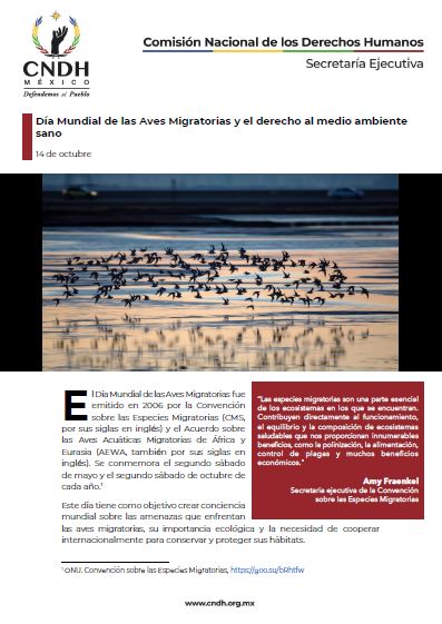 Día Mundial de las Aves Migratorias y el derecho al medio ambiente sano