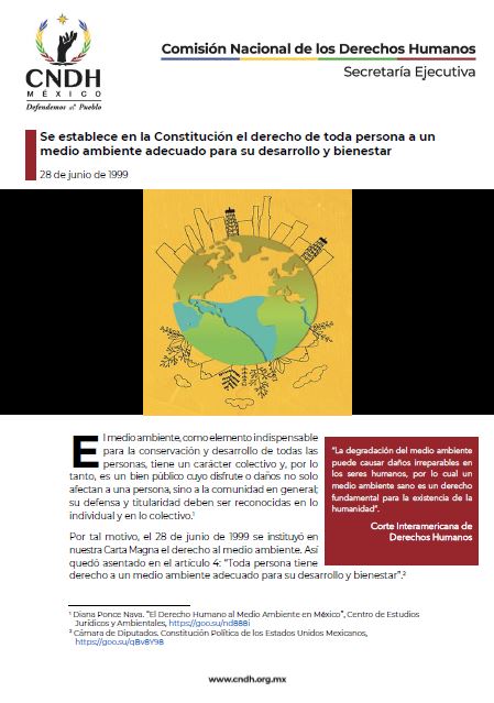Se establece en la Constitución el derecho de toda persona a un medio ambiente adecuado para su desarrollo y bienestar