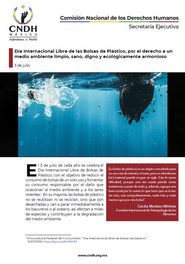 Día Internacional Libre de las Bolsas de Plástico, por el derecho a un medio ambiente limpio, sano, digno y ecológicamente armonioso