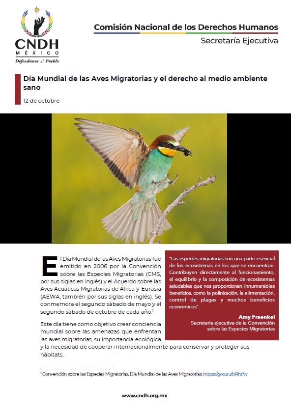 Día Mundial de las Aves Migratorias y el derecho al medio ambiente sano