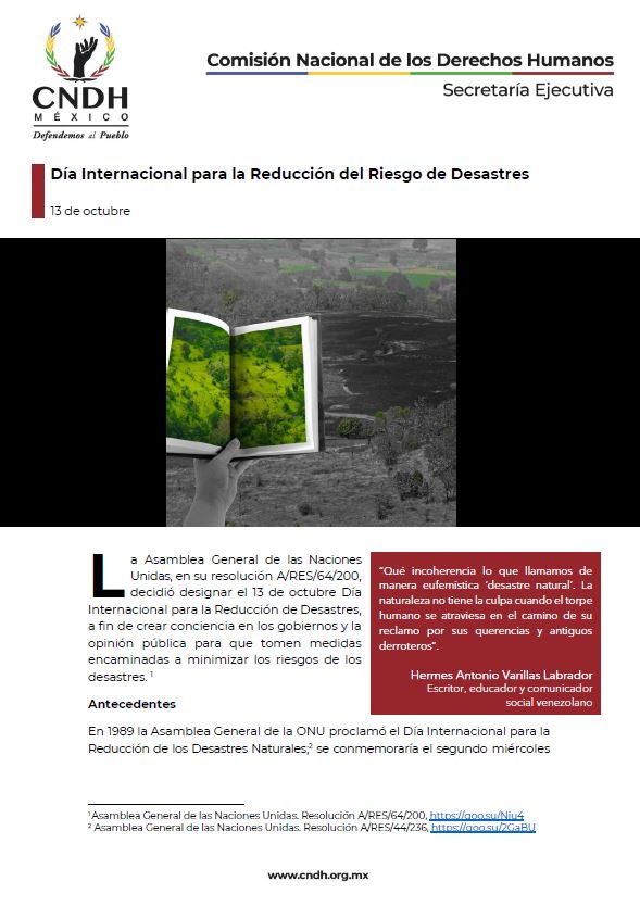 Día Internacional para la Reducción del Riesgo de Desastres