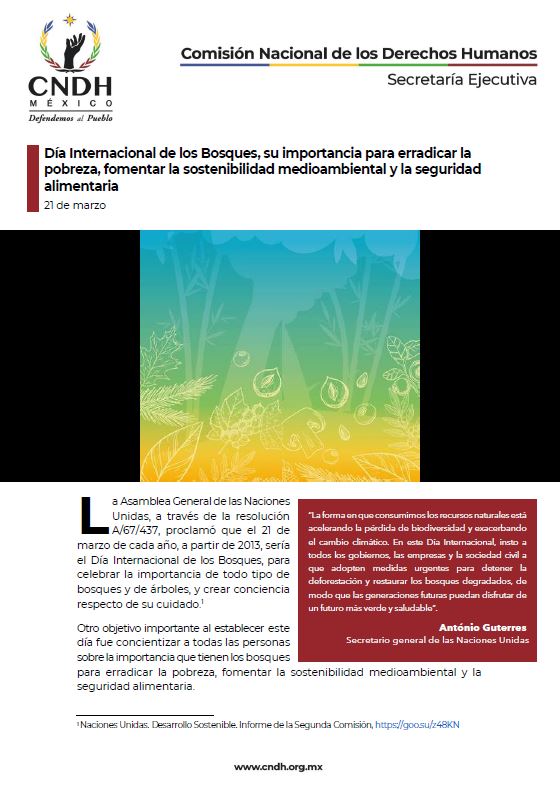Día Internacional de los Bosques, su importancia para erradicar la pobreza, fomentar la sostenibilidad medioambiental y la seguridad alimentaria