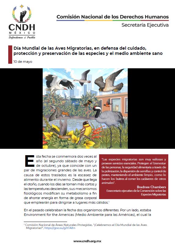 Día Mundial de las Aves Migratorias, en defensa del cuidado, protección y preservación de las especies y el medio ambiente sano
