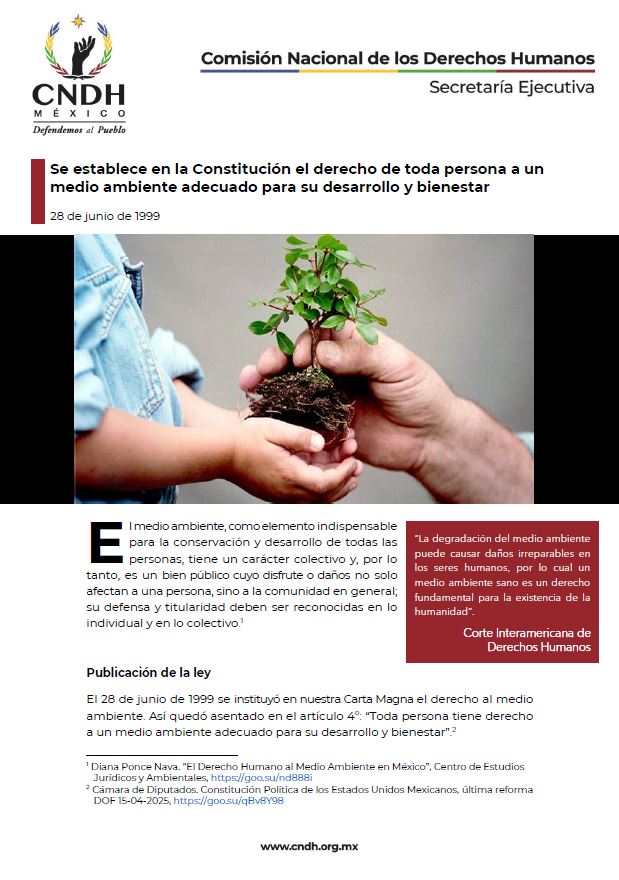 Se establece en la Constitución el derecho de toda persona a un medio ambiente adecuado para su desarrollo y bienestar