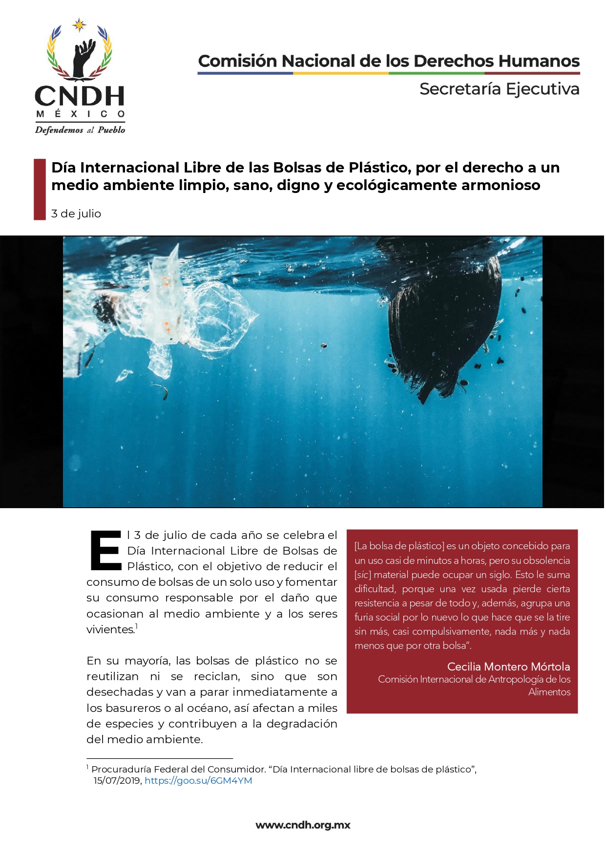 Día Internacional Libre de las Bolsas de Plástico, por el derecho a un medio ambiente limpio, sano, digno y ecológicamente armonioso
