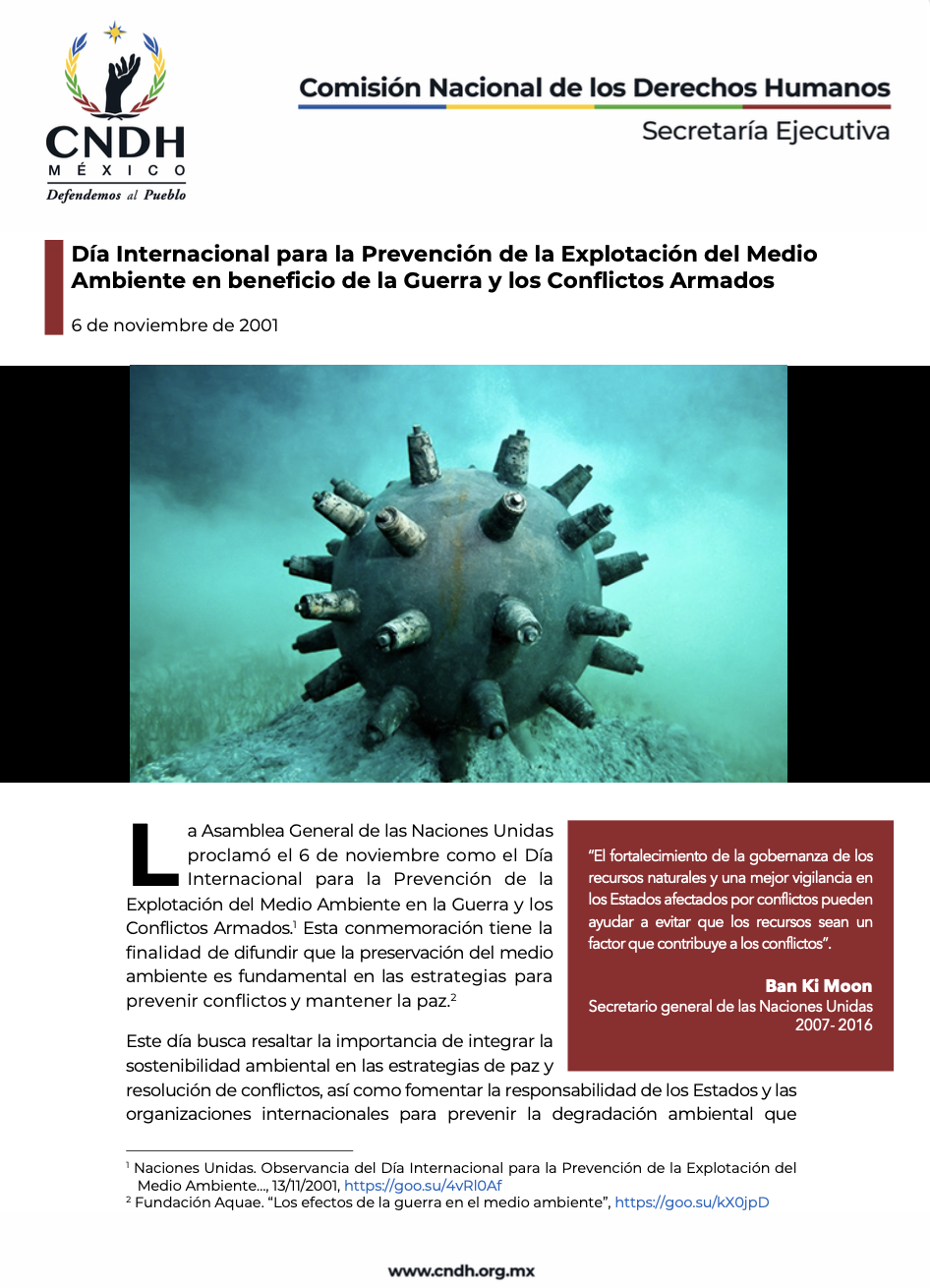 Día Internacional para la Prevención de la Explotación del Medio Ambiente en beneficio de la Guerra y los Conflictos Armados