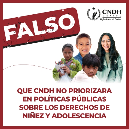 Que CNDH no priorizara en políticas públicas sobre los derechos de niñez y adolescencia