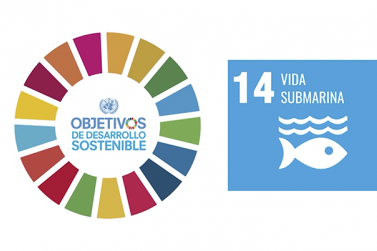 Agenda 2030-Objetivo 14-Vida marina