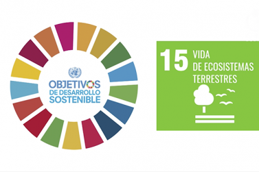 Agenda 2030-Objetivo 15-Vida de ecosistemas terrestres