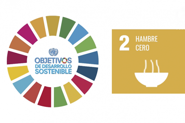 Agenda 2030-Objetivo 2-Hambre cero