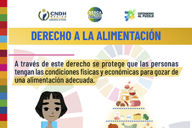 Derecho a la Alimentación