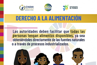 Derecho a la Alimentación
