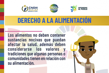Derecho a la Alimentación