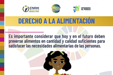 Derecho a la Alimentación