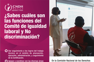 NMX Comité Igualdad Funciones 