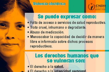  Violencia obstétrica