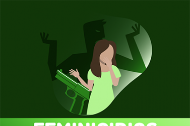 Concepto de Feminicidios 