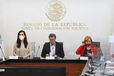 Comparecencia de la Presidenta de la CNDH, Rosario Piedra Ibarra ante Senadores