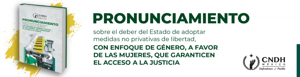 Pronunciamiento enfoque de genero