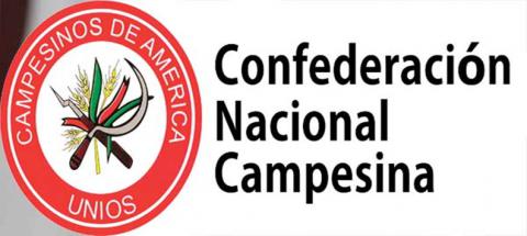 Surge la Confederación Nacional Campesina (CNC)