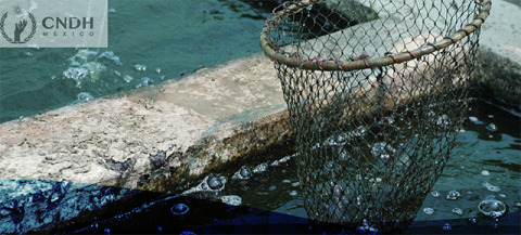 Año Internacional de la Pesca y la Acuicultura Artesanales 2022