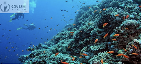 Decenio Internacional de las Ciencias Oceánicas para el Desarrollo Sostenible 