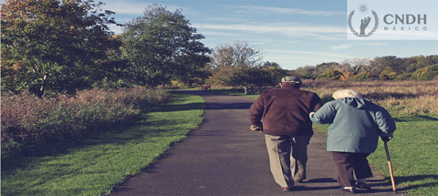 Decenio de las Naciones Unidas del Envejecimiento Saludable