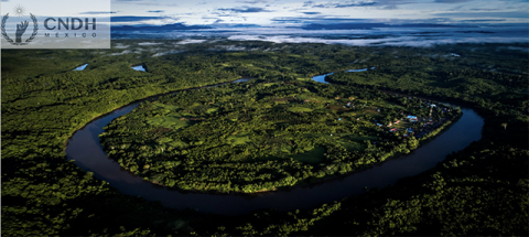 Decenio de las Naciones Unidas sobre la Restauración de los Ecosistemas 