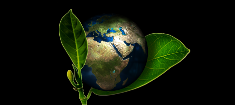  Día Mundial del Medio Ambiente