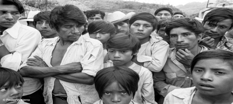 Matanza en Golonchan Viejo, Chiapas.  15 de junio  