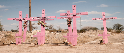 La Corte Interamericana de Derechos Humanos emite sentencia contra México en el Caso González y otras (Campo Algodonero) por feminicidio y violencia de género 