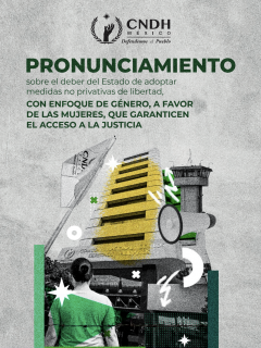 Pronunciamiento sobre el deber del Estado de adoptar medidas no privativas de libertad, con enfoque de género, a favor de las mujeres, que garanticen el acceso a la justicia.