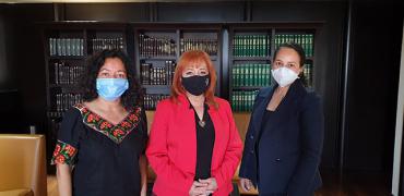 Reunión de la CNDH con la Red de Mujeres Afrolatinoamericanas, Afrocaribeñas y de la Diáspora (RMAAD)