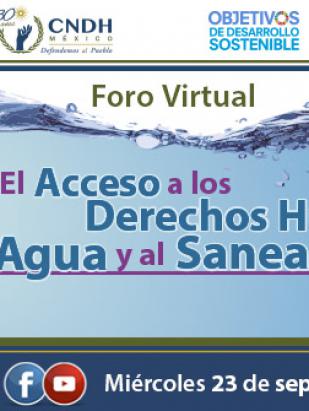 Foro Virtual "El Acceso a los DH al Agua y al Saneamiento"